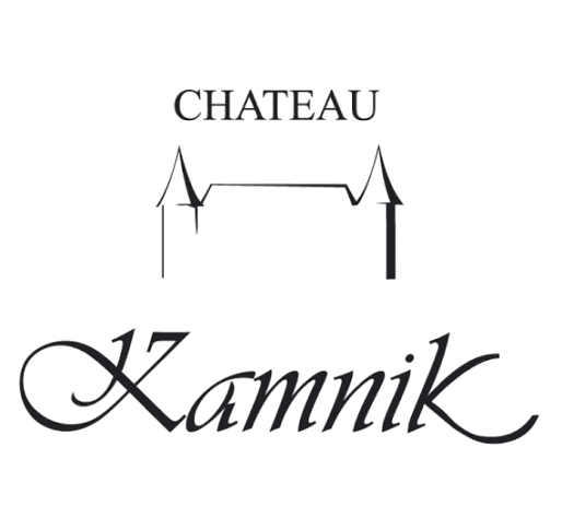 Château Kamnik